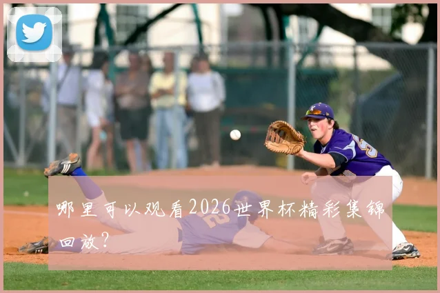 哪里可以观看2026世界杯精彩集锦回放？