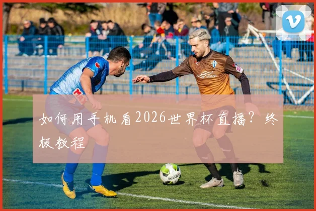 如何用手机看2026世界杯直播？终极教程