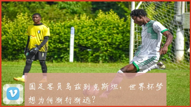 国足客负乌兹别克斯坦，世界杯梦想为何渐行渐远？