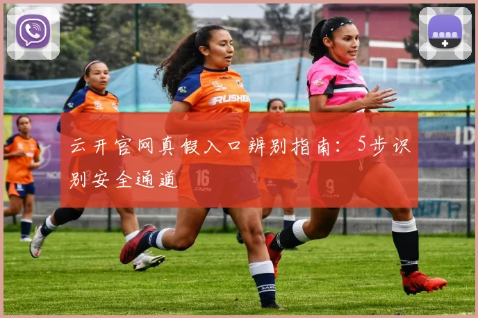 云开官网真假入口辨别指南：5步识别安全通道